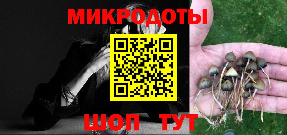 Норильск  Галлюциногенные грибы Magic Shrooms  Вход с VPN  Галлюциногенные грибы прущие грибы 